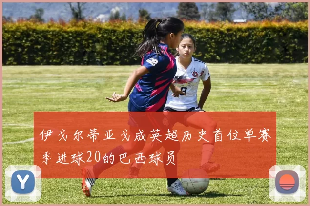 伊戈尔蒂亚戈成英超历史首位单赛季进球20的巴西球员